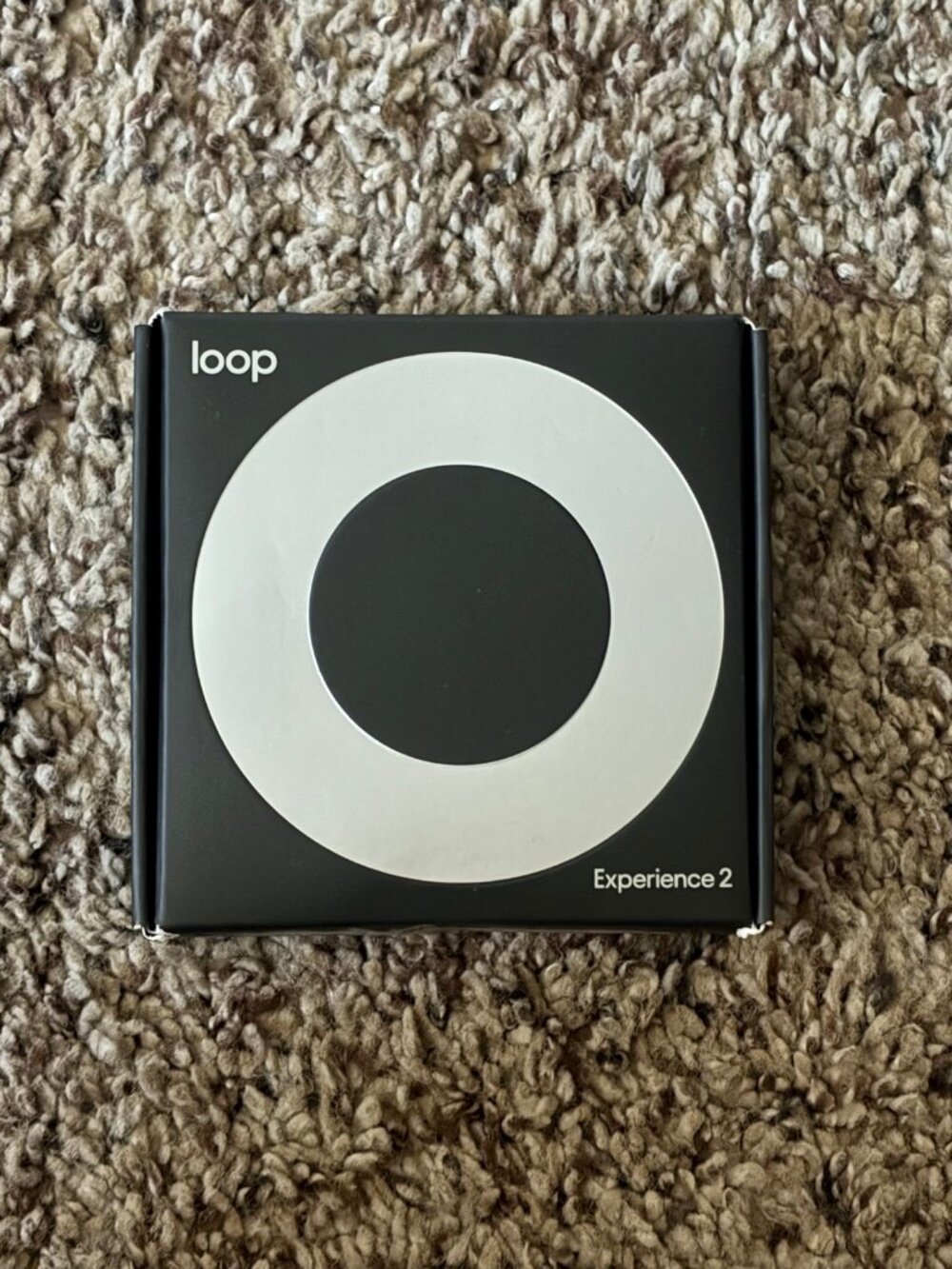 Loop Experience 2 Earplugs Silver Sealed New